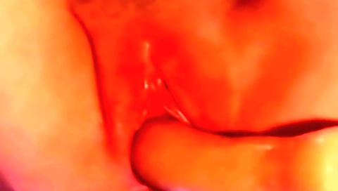 Indian solo girl masturbates with a dildo in her pussy